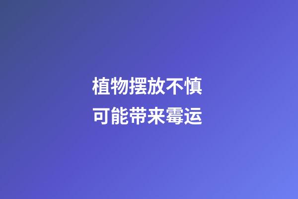 植物摆放不慎 可能带来霉运